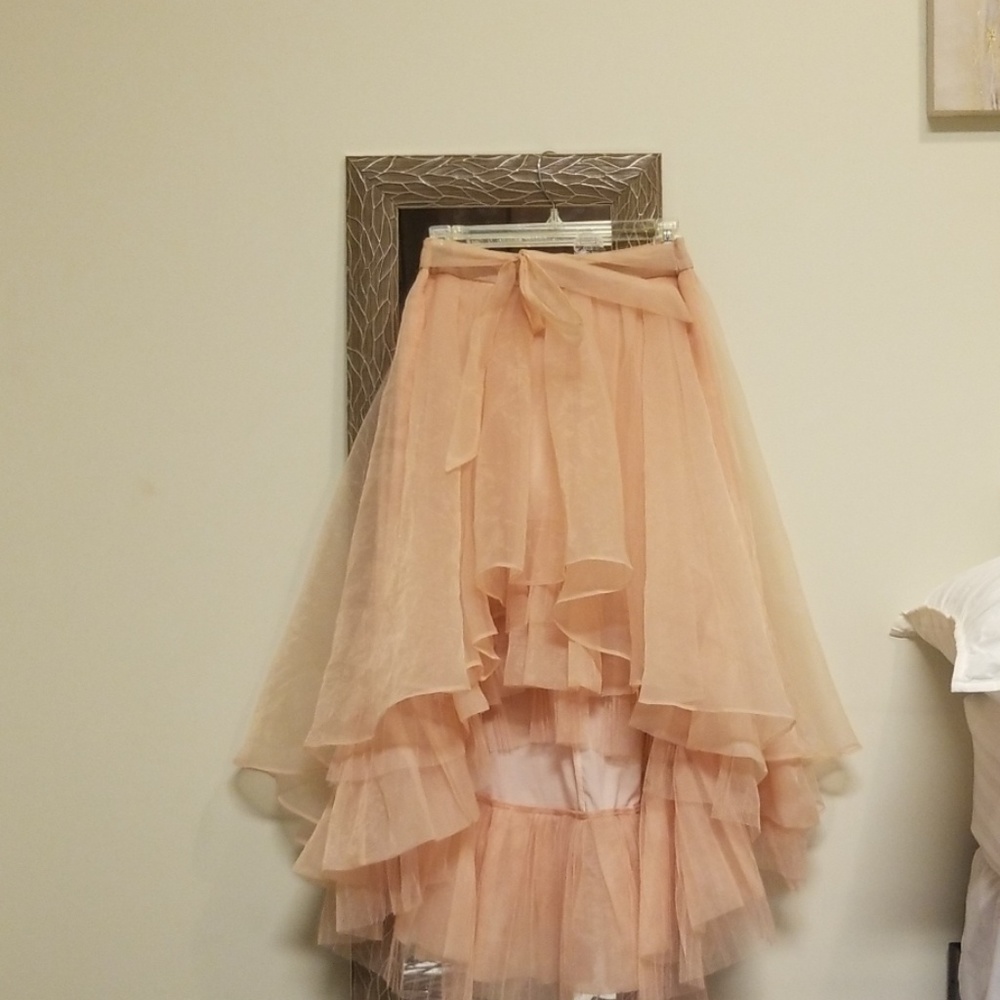 Soft Pink Layered Skirt